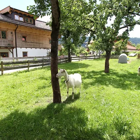 Holiday Starmacherhof Apartment